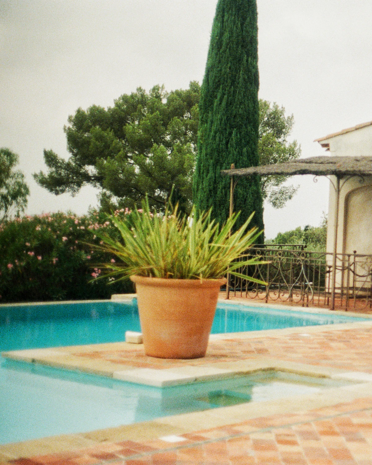 A pool set into an old stone threshing floor.